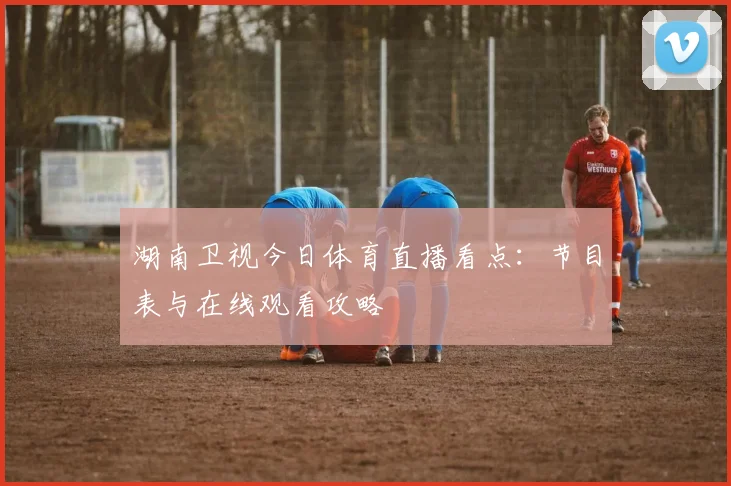 湖南卫视今日体育直播看点：节目表与在线观看攻略